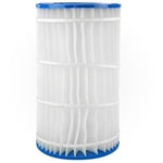 Pentair 196039 60 GPM EasyClean Replacement Cartridge