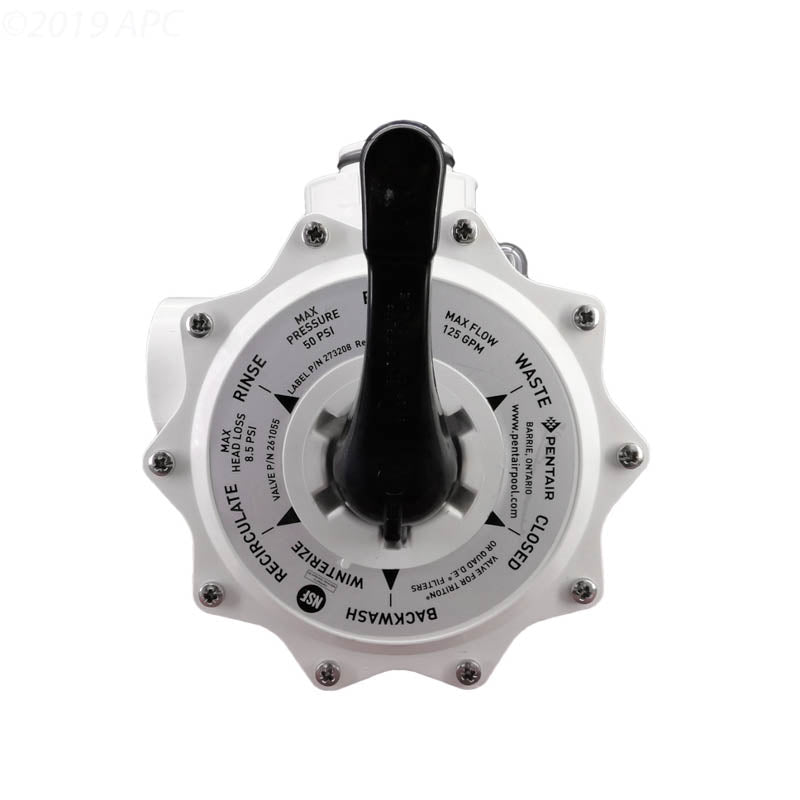 Pentair 261055 Multiport Threaded Valve