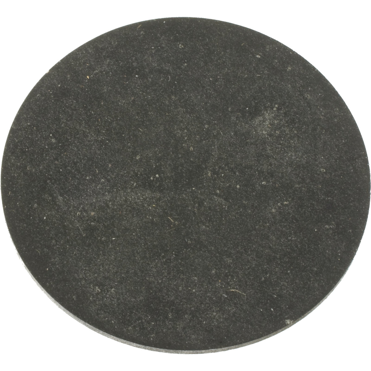 Pentair Water Pool and Spa Inc Sand Drain Gasket - 154715Z