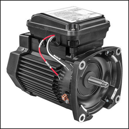 Pentair Challenger High Pressure Pump Motor, 2 HP, 208-230/460 V, Three Phase, Square Flange | 354810S