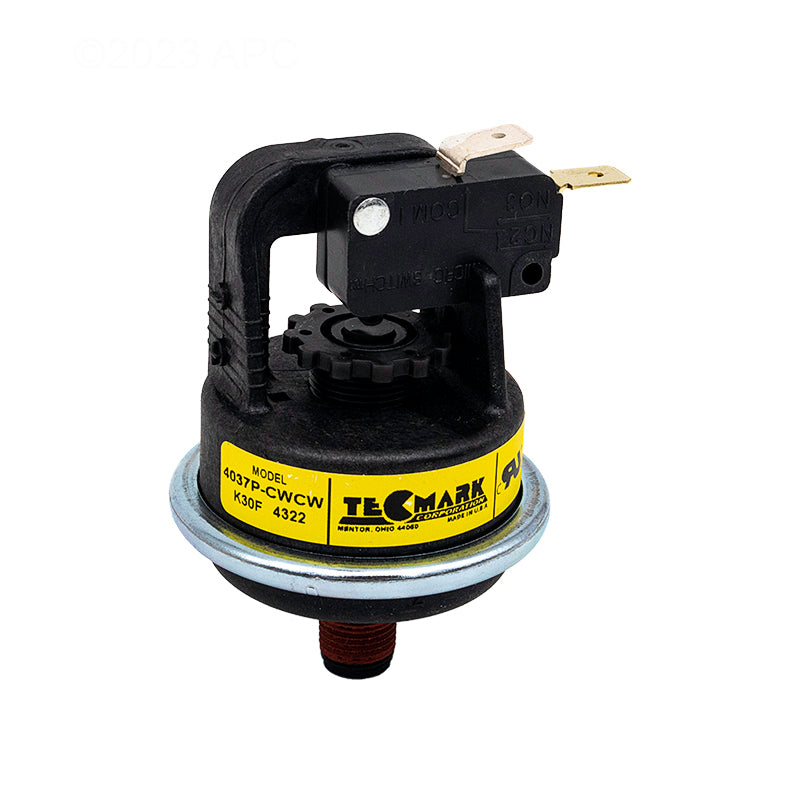 Pentair Water Pressure Switch - 42001-0060S