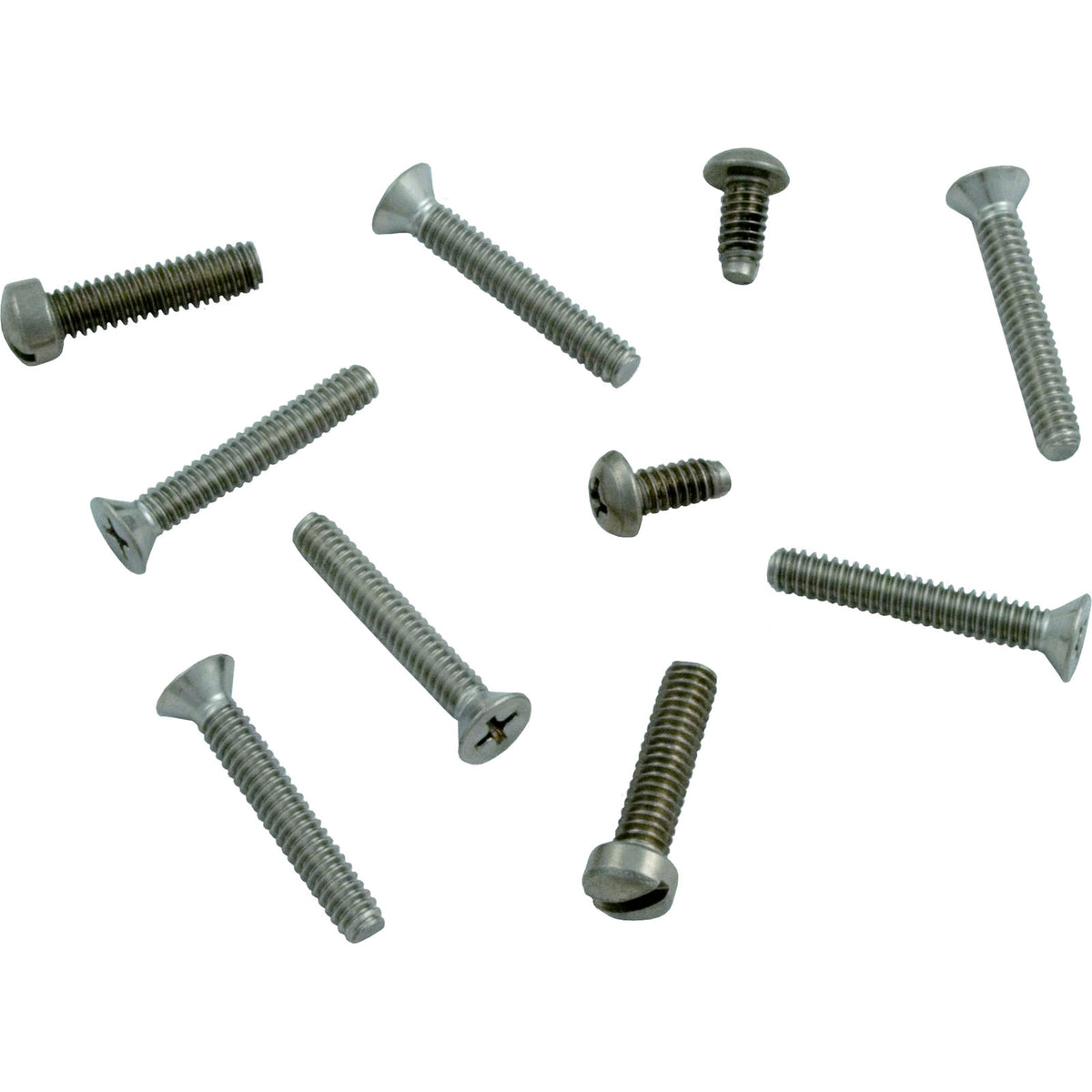 Pentair Kit Niche Screw Sb Screw Kit Retainer Screw Wall Panel Small Ss Niche Pentair - 79205500Z