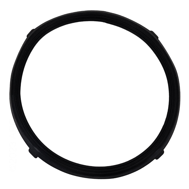Pentair 619599Z Replacement Lens Gasket for AquaLumin® III Pool and Spa Lights