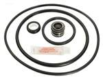 Pac-Fab Pinnacle Pump Seal Kit APCK1018