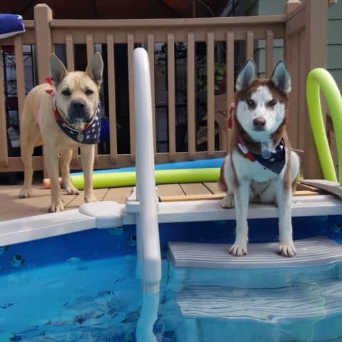 Confer Curve Base In-Pool 4 Step for A/G Pool, Beige | CCX-AG