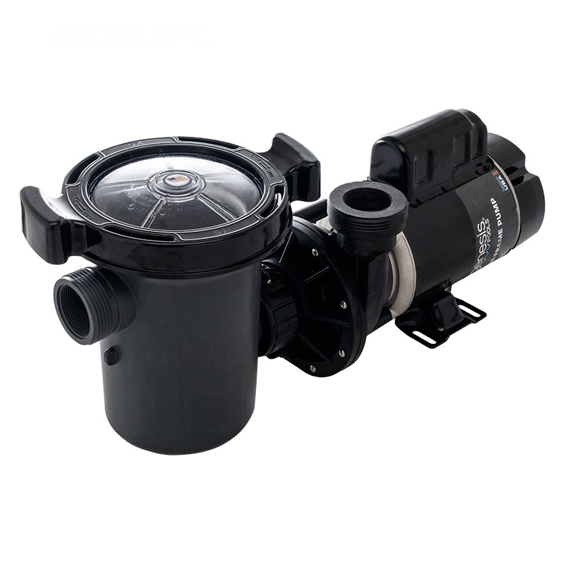 Waterway Hi-Flo A/G Pool Pump 0.95HP, 3' NEMA Power Cord - SD-10-1-N