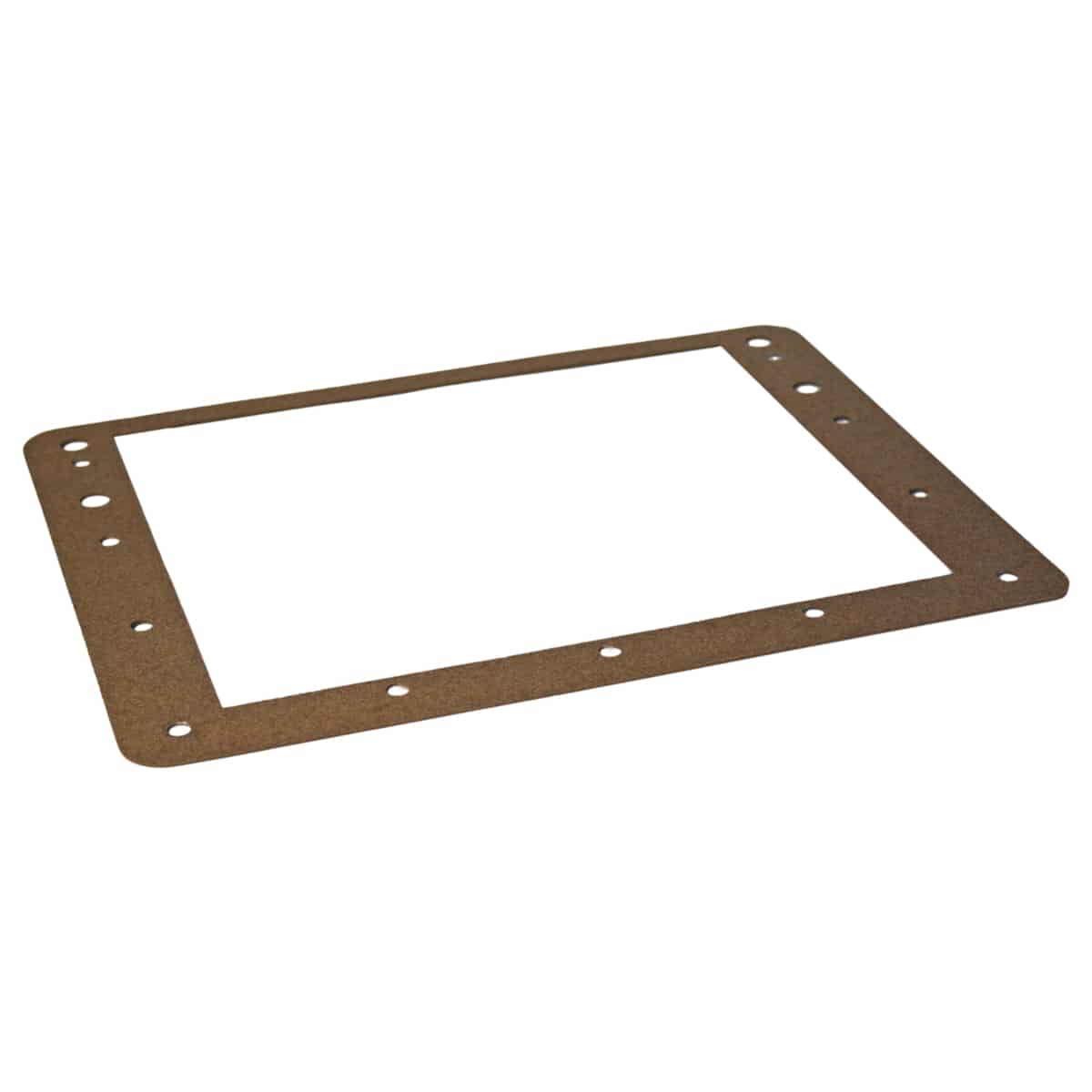 Hydra Aqua Genie Faceplate Gasket | H01616P