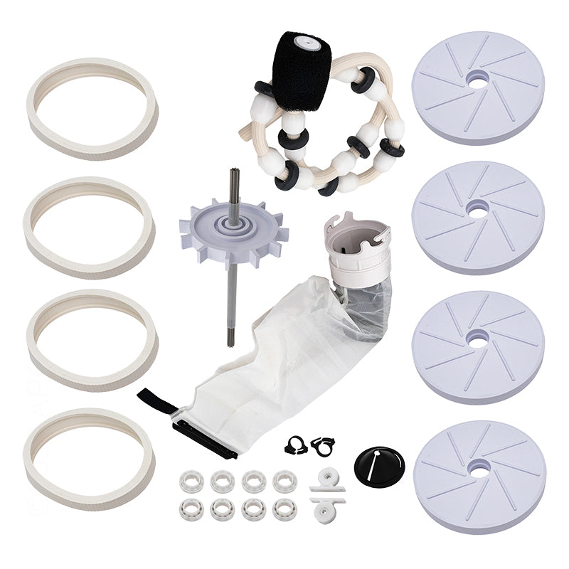 Pentair LL205N Legend Tune Up Kit