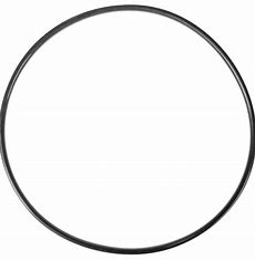 Aladdin Wfe Lid O-Ring (wfe B4 11/1998) Tagelus/ Triton Ii/ - O-108-9
