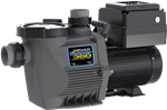 Waterway Pump PD-350