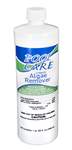 Pool Care 3 Month Algaecide 1qt