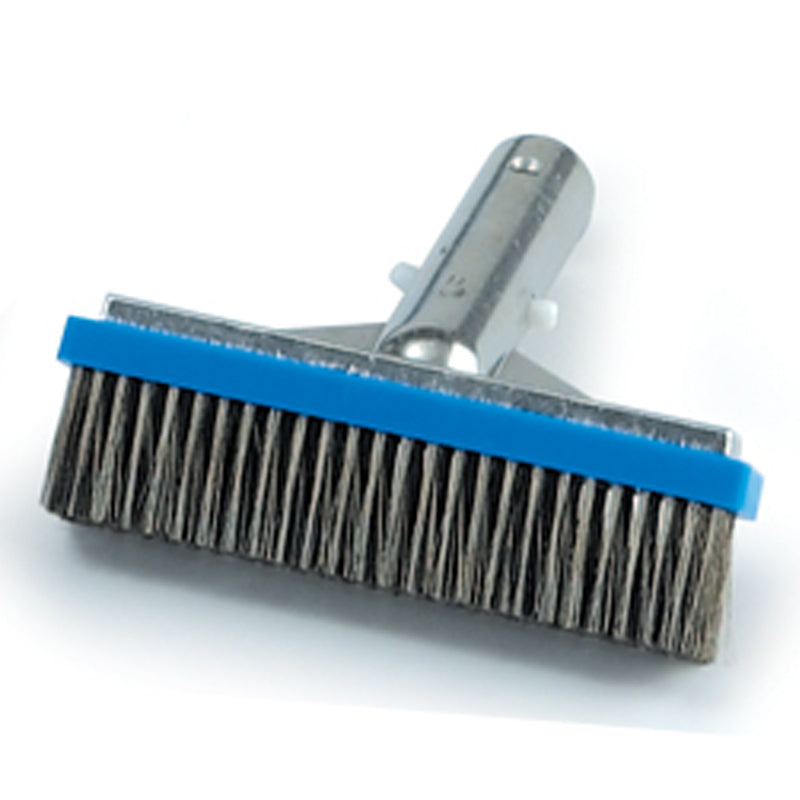 A&B Brush Algae Pool Brush with Metal Handle 6" Stainless Steel - R111616