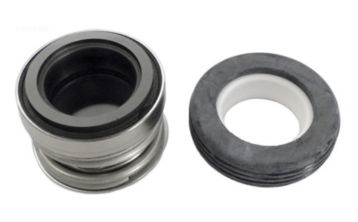 Aladdin Viton Shaft Seal PS1000 - 1000V-9