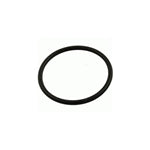Val-Pak Pump Lid O-Ring N/S V20-389S