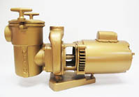 Val-Pak 2 HP Pump & Motor 50 Hz 5" Trap 2" Suction 230v 1PH V40-509-5