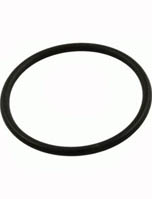 Val-Pak Throttling Plug O-Ring V50-350-1
