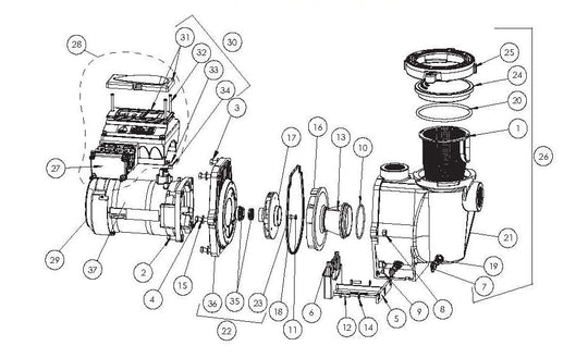 Pool pump parts diagrams