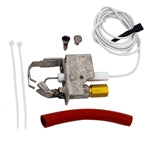 Raypak 002003F Pilot Assembly