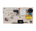 Raypak Control Circuit Board (After 2003) 100-10000345 - 013464F