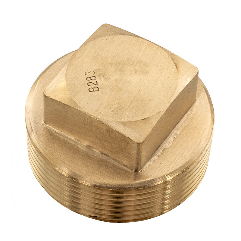Raypak Ug Plug Brass185-405 206-407-Kit - 013738F