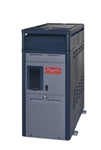 Raypak Heater 014784