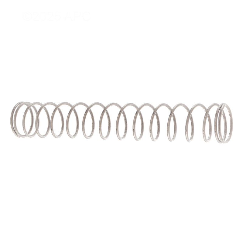 Pentair Spring SS 3 lb - 072524Z