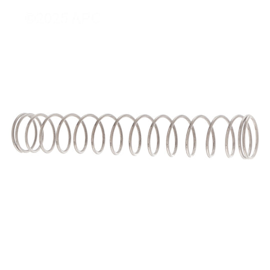 Pentair Spring SS 3 lb - 072524Z