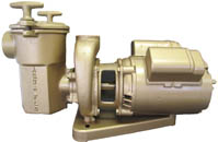 Val-Pak 3/4 HP 115/230 1-1/2" Suction 5" Trap 11007000