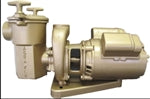 Val-Pak 3.0 HP 230 Volt 2" Suction 6" Trap 11030000