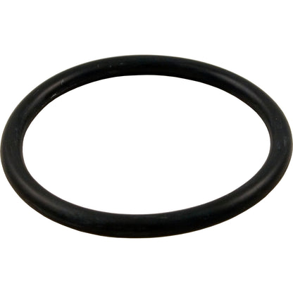 Pentair O-Ring 2-332 VLV ADPT - 274494Z