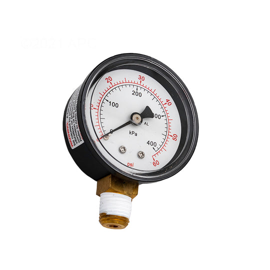 Pentair Ga 2" Taped 1/4" NPT Ga 2IN Taped 1/ 2" - 15060-0000TZ