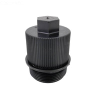 Pentair Cap Plug for FNS Plus Filter - 190030Z