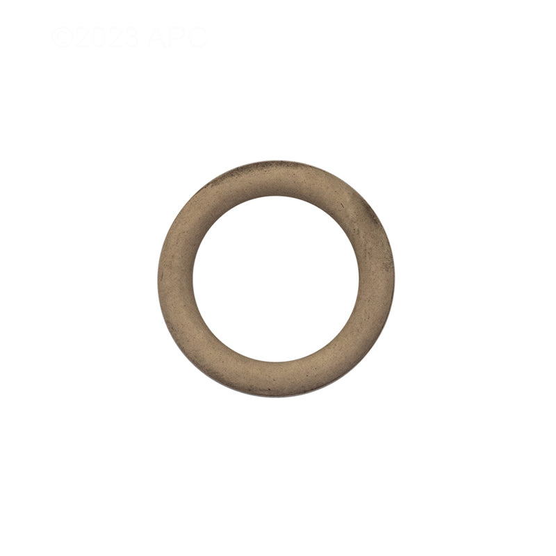 Pentair O-Ring Drain Plug - 192115Z