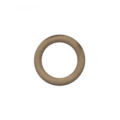 Pentair O-Ring Drain Plug - 192115Z