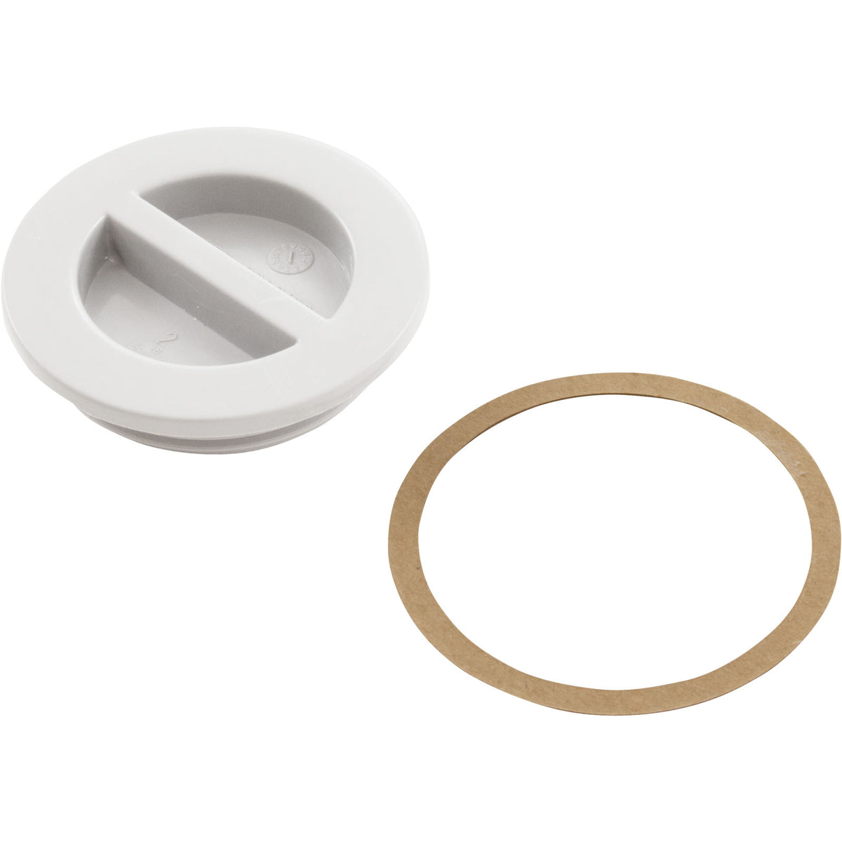 CMP 1.5In NPT Flat Plug - 25542000000