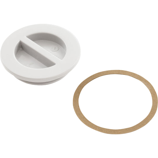 CMP 1.5In NPT Flat Plug - 25542000000