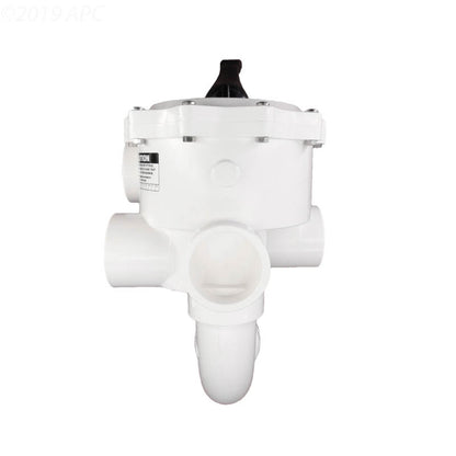 Pentair 261055 Multiport Threaded Valve