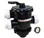 Pentair Tagelus Clamp Style Backwash MultiPort Valve 2 Inch, 6 Inch Neck - 262525
