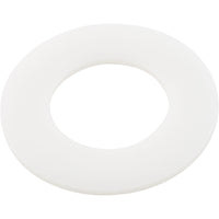 Pentair Wshr Plstc Washer Plastic - 272402Z
