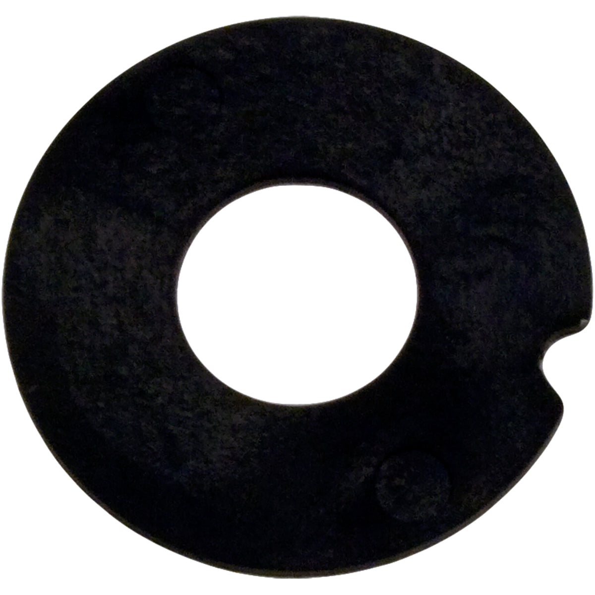 Pentair Wshr .760X1.875X.062 Plastic Washer Pentair - 272505Z