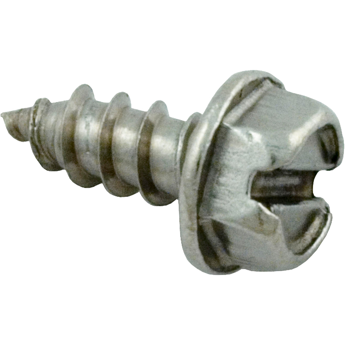 Pentair Water Pool and Spa Inc Ss Flat Head Screw 4/PK #14 18-8 - 273071Z