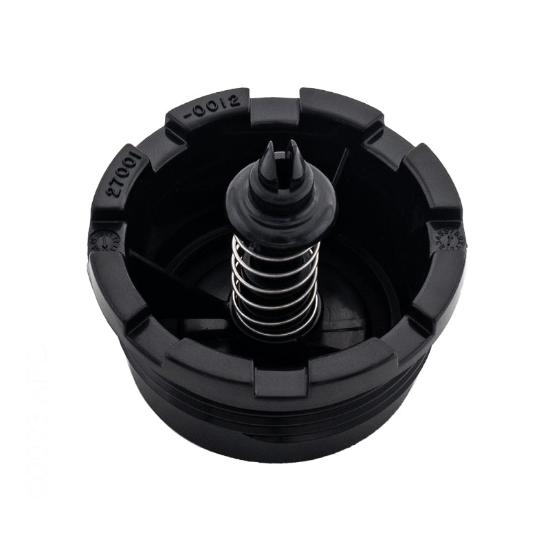 Pentair PLM/PLD Spring Check Valve - 27001-0130S