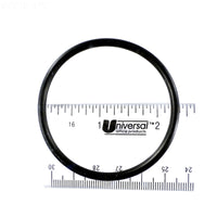 Pentair Water Pool and Spa Inc Plug/ Bulkhead O-Ring Slide Valve - 273062Z