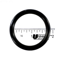 Pentair Water Pool and Spa Inc Piston O-Ring 2