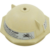 Pentair Water Pool and Spa Inc Triton II Closure B4 12-91 6