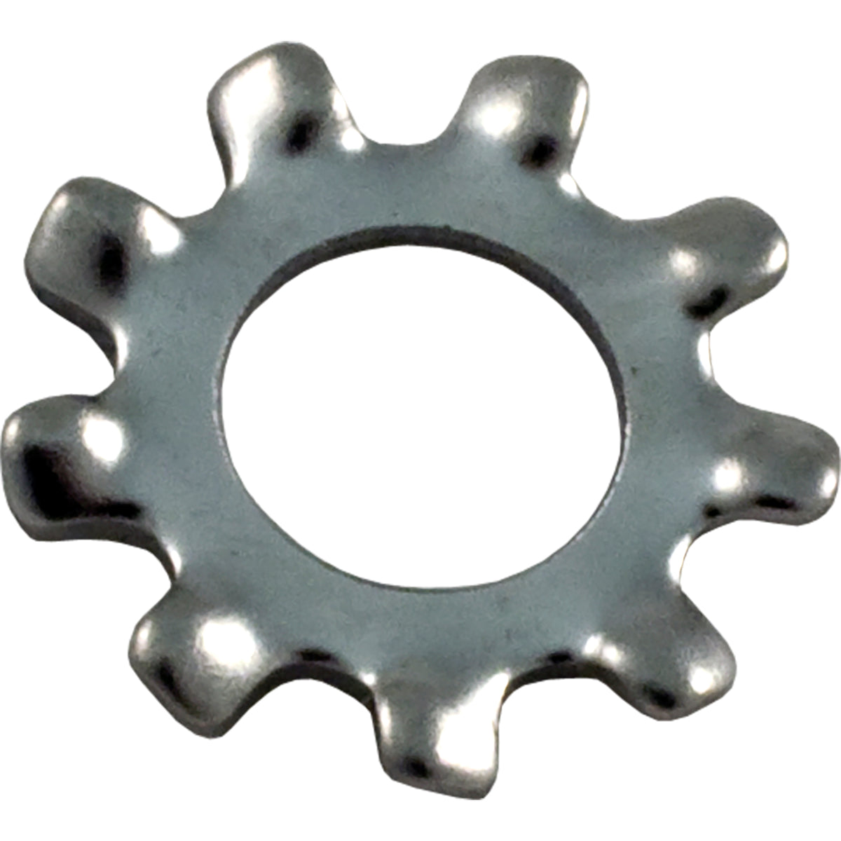 Pentair #8 Ext Tooth Wshr Washer 8 Lockin - U43-21SSZ