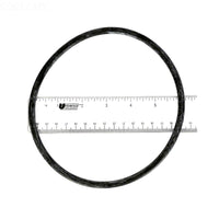 Pentair Pump Lid O-Ring - 350013Z