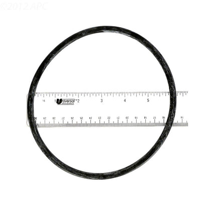 Pentair Pump Lid O-Ring - 350013Z