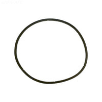 Pentair GASKET EQ LID - 350166Z