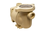 Pentair 353010 Superflo Volute Assembly
